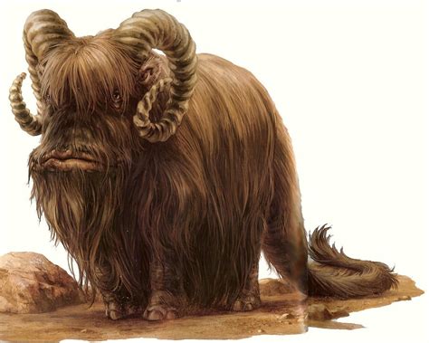 Star Wars Bantha Star Wars Characters Pictures Star Wars Images