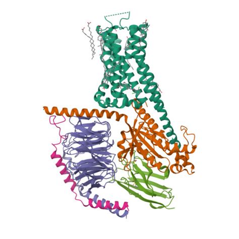 Rcsb Pdb 7ljd Allosteric Modulator Ly3154207 Binding To Dopamine