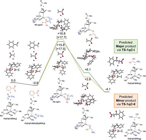 Calculated Reaction Coordinates And Free Energies In Kcal Mol For The