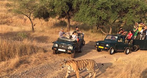 Golden Triangle Tour With Ranthambore By Trek India Tours Tourradar