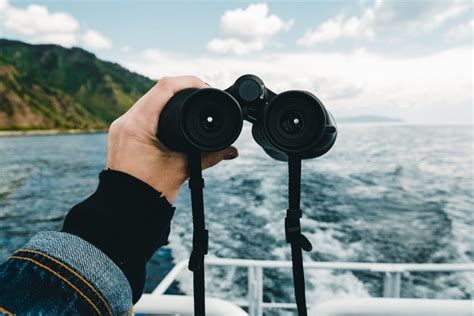 Best Binoculars For Whale Watching Bino Expert