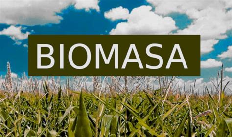 Biomasa ¿qué Es Tipos De Biomasa Ventajas Y Desventajas