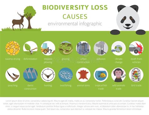 Problemas Ambientales Mundiales Infografía Sobre Degradación De