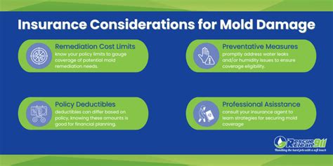 Who Pays For Mold Remediation Mold Insurance Claims