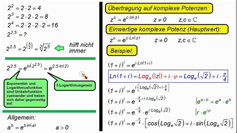 Komplexe