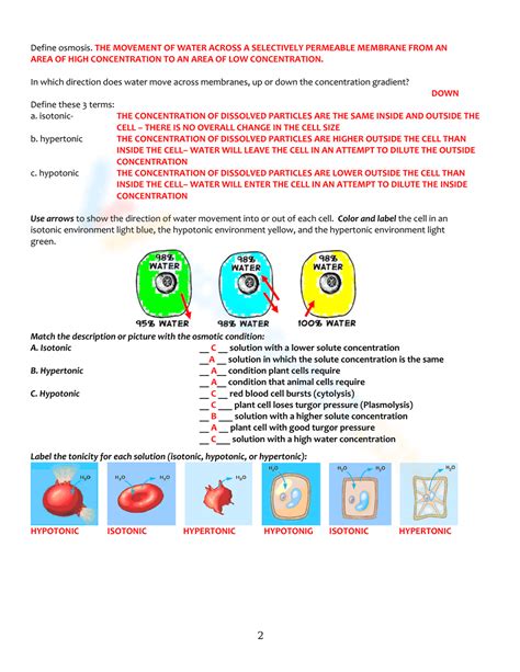 Cell Membrane Tonicity Worksheet Worksheet Worksheets Library