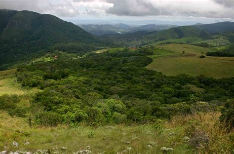 Flora of Mozambique: Location details: individual images: Cloudlands ...