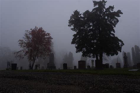 Halloween Foggy Eerie Spooky Creepy Graveyard Cemetary Stock Photo ...