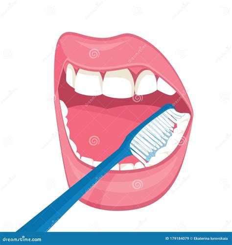 Brush Your Teeth With Toothbrush Vector Illustration On A White