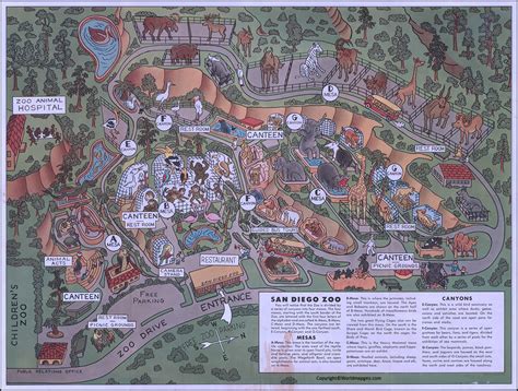 San Diego Zoo Map [San Diego Zoo Safari Park Map] in Pdf