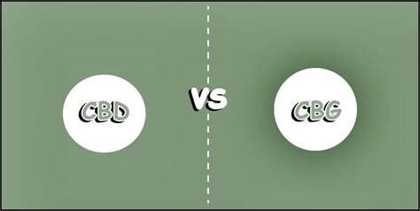 CBD vs. CBG - What's the Difference? | New Phase Blends CBD