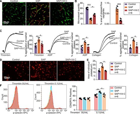 Figure 2 From High Dose Vitamin C Alleviates Pancreatic Necrosis By