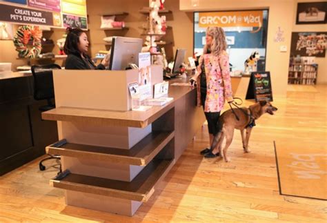 West Sacramento pet hotel keeps tails wagging – Daily Democrat