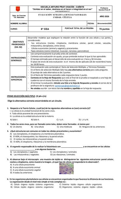 Cs Naturales EvaluaciÓn Sumativa 8° Cea Pdf