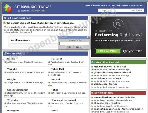 Isitdownrightnow Cross Site Scripting Vulnerability OBB 148852