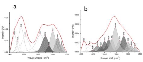 Applied Sciences Free Full Text Peak Fitting Applied To Fourier Transform Infrared And Raman