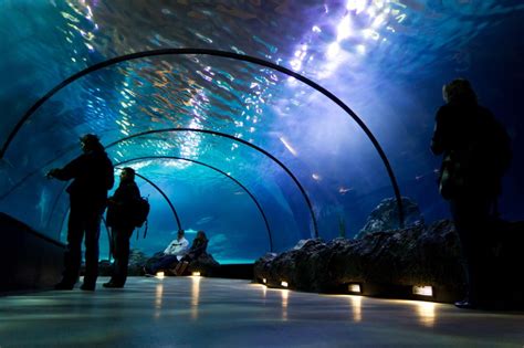 Underwater tunnel set to be new tourist attraction in Primošten ...