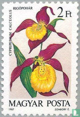 A Stamp With Two Flowers On It