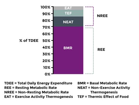 How To Measure Your Resting Metabolism And Does It Really Matter