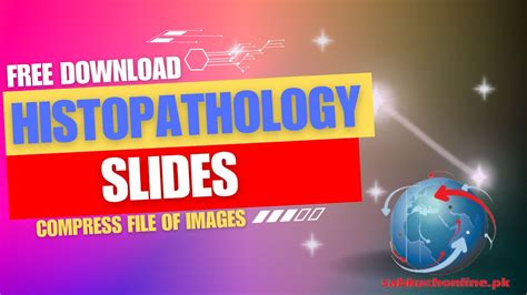 Histopathology Slides images free download - sabkuchonline.pk