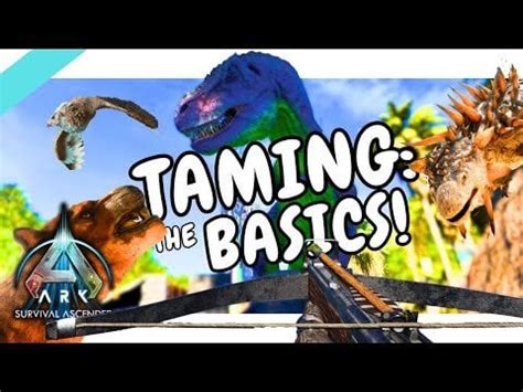 The Basics Taming Guide For Beginners Ark Ascended : r/CamwayGaming