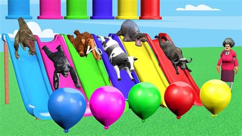 Cow Buffalo Gorilla Elephant Scary teacher 3D Game with Wild Animals Slider Balloons Popping ...