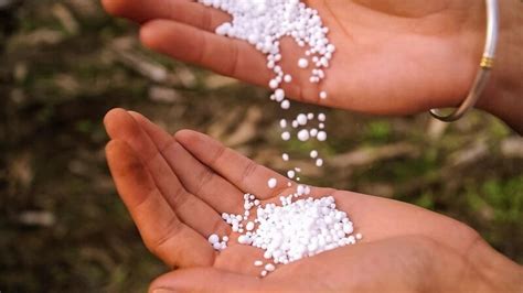 Fertiliser Maker Suspends Urea Production Amid RLNG Suspension