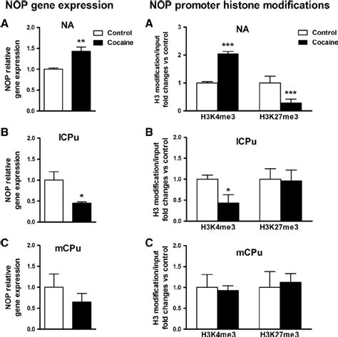 Left Panel Levels Of NOP MRNA In The Striatum The NOP Gene