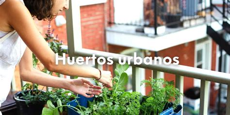 Cultiva En La Ciudad Gu A De Huertos Urbanos