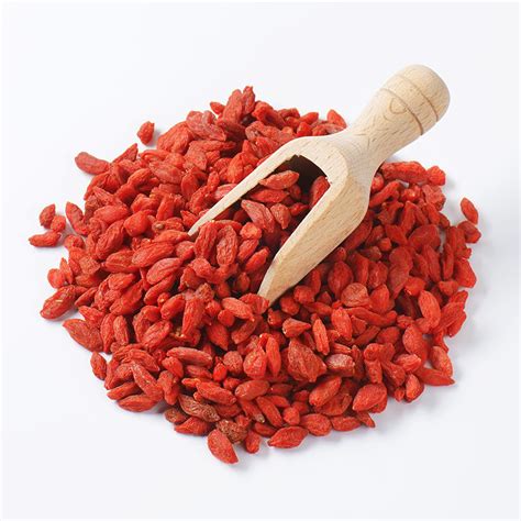 Wolfberry (Goji) for sale in Singapore, plenty of health benefits and uses.