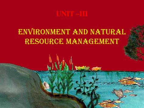 Environment And Natural Resource Management Ppt Download