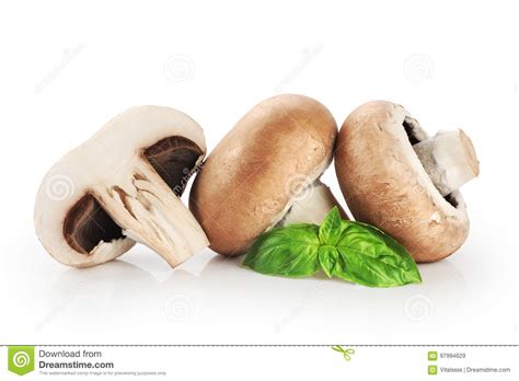 Funghi Prataioli E Basilico Reali Immagine Stock Immagine Di Fetta