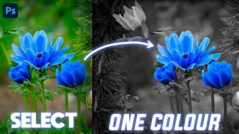 Selective Color Photo Effect Photoshop YouTube