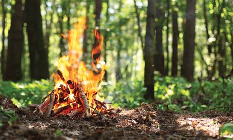 Prevención De Incendios Descubre Todo Lo Que Necesitas Saber