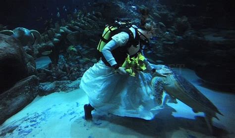 Underwater Wedding | Others