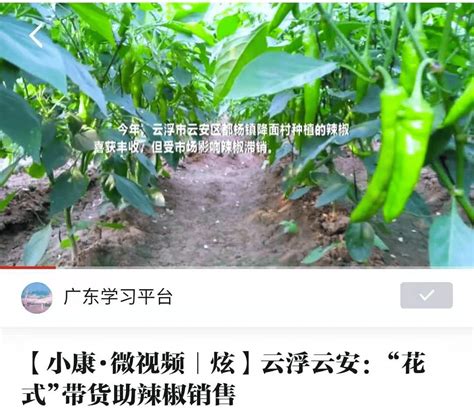 “走向我们的小康生活”大赛评选结果出炉，云浮这些单位和作品获奖！ 征文