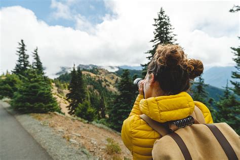 Your Guide to Hurricane Ridge Trails & More in Olympic National Park