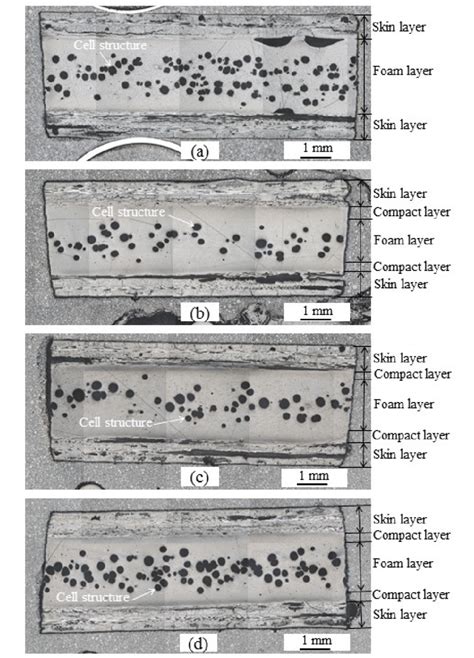 Microstructures Of The Sandwich Structures A Foam Core Without Talc