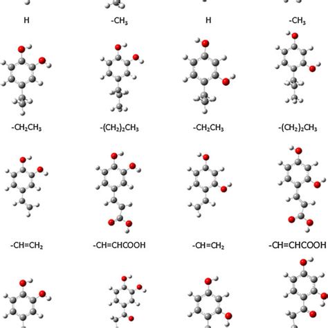 Four possible reaction paths of the phenol and hydroxyl radical ...