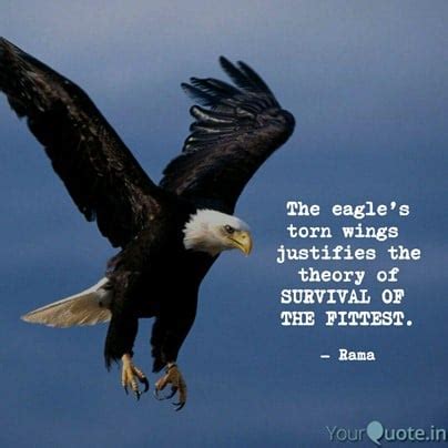 Eagle Totem & Symbolism – The Spirit of Spiritual Power – AnimalTotem.com