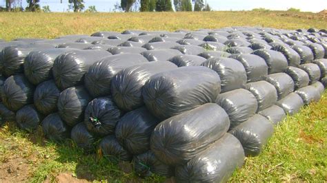 Cómo hacer ensilaje para ganado Pasturas Tropicales