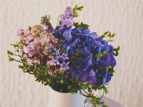 Images Gratuites fleur violet pétale vase bleu flore hortensia