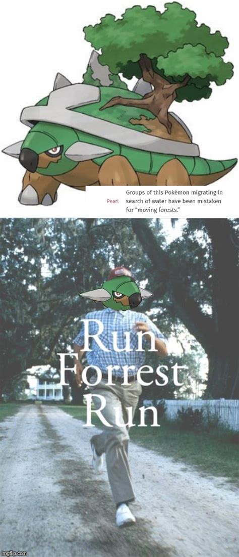 Gaming Torterra Memes Gifs Imgflip