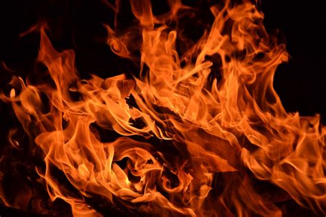 Flame Fire Embers Flames Wood Free Photo On Pixabay Pixabay