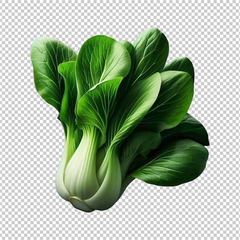 Premium Psd Bok Choy Or Pak Choy Cabbage Isolated Fresh Vegetables