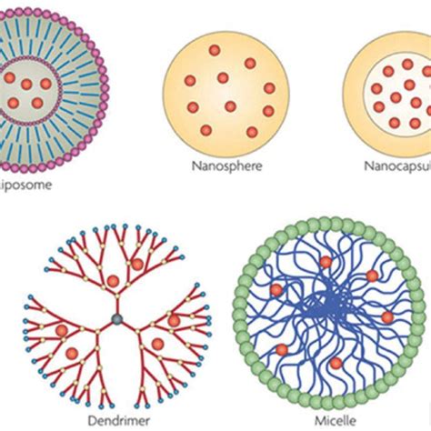 Schematic Representation Of The Different Nanocarriers Discussed In The