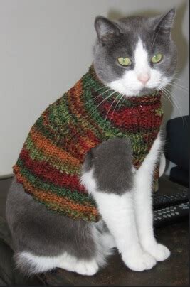 15 Cat Sweater Knitting Patterns - Knitting News