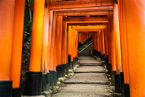 Hiking to the Top of Fushimi Inari in Kyoto | Worldwide Walkers