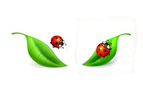 Download Ladybugs Insects Bugs Royalty Free Stock Illustration Image Pixabay