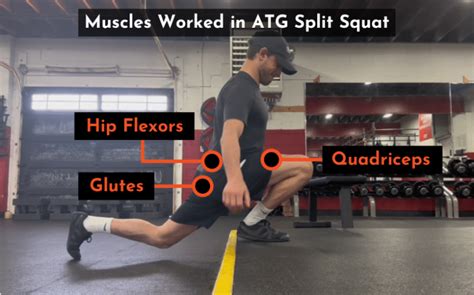 Atg Split Squats How To Mistakes And Drawbacks